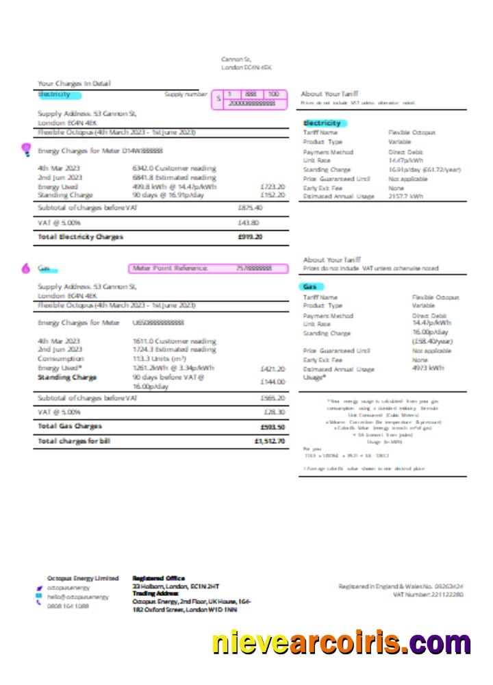Octopus Energy utility business bill page 2